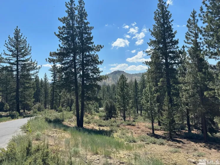 Lot 2 Raymond, Markleeville, California 96120, ,Land,Residential,Raymond,210006100