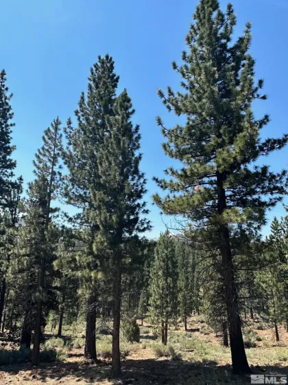 Lot 2 Raymond, Markleeville, California 96120, ,Land,Residential,Raymond,210006100