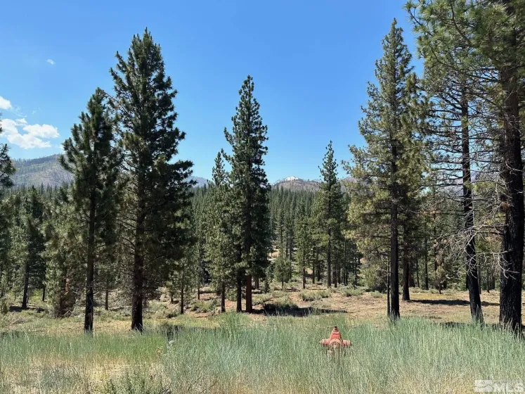 Lot 2 Raymond, Markleeville, California 96120, ,Land,Residential,Raymond,210006100