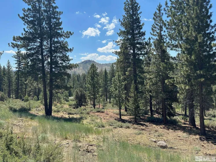 Lot 2 Raymond, Markleeville, California 96120, ,Land,Residential,Raymond,210006100
