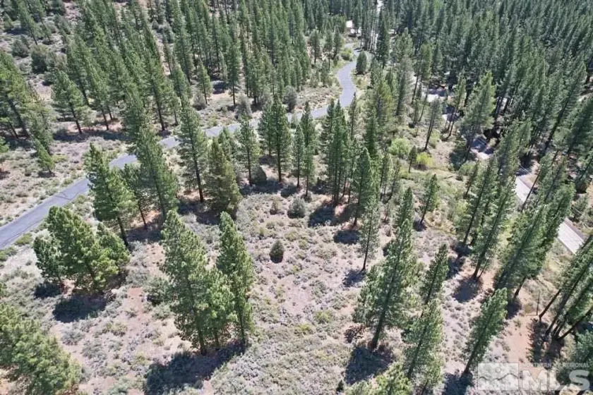 Lot 2 Raymond, Markleeville, California 96120, ,Land,Residential,Raymond,210006100