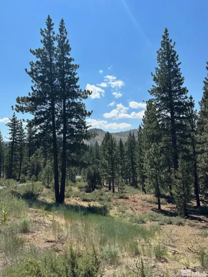 Lot 2 Raymond, Markleeville, California 96120, ,Land,Residential,Raymond,210006100