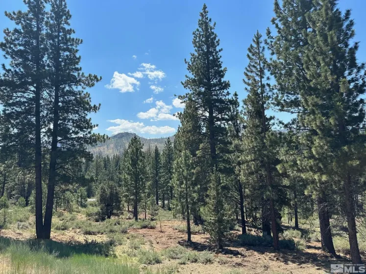 Lot 2 Raymond, Markleeville, California 96120, ,Land,Residential,Raymond,210006100