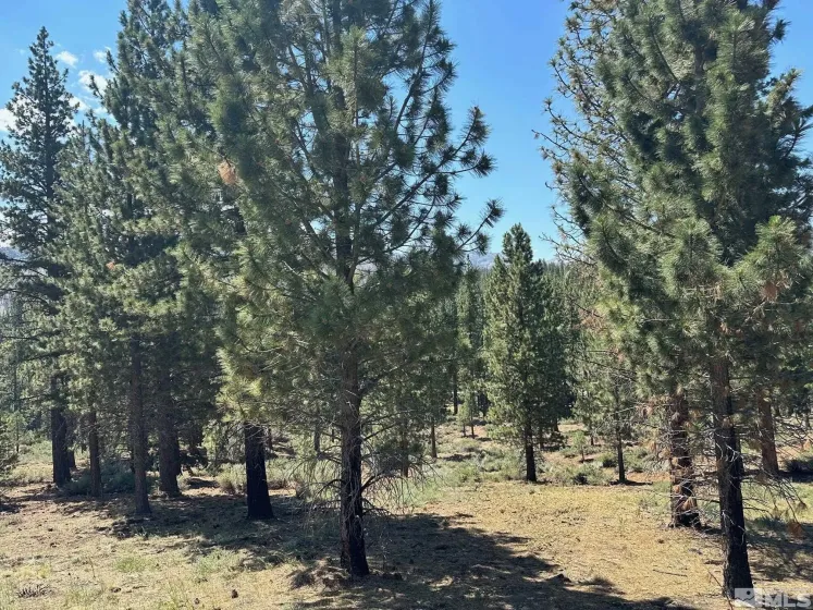 Lot 2 Raymond, Markleeville, California 96120, ,Land,Residential,Raymond,210006100