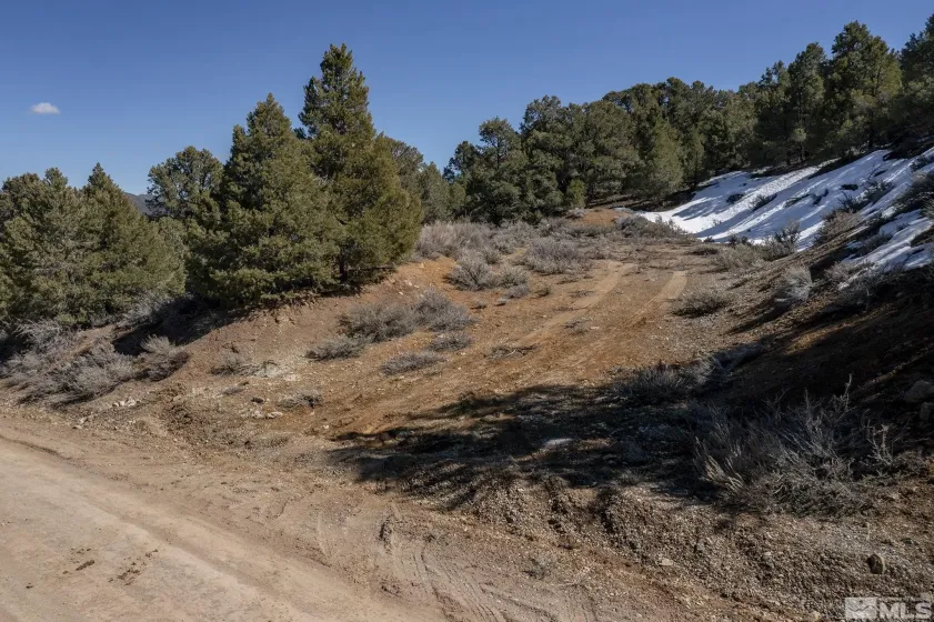 2185 Hermit, Virginia City, Nevada 89521, ,Land,Residential,Hermit,240013442