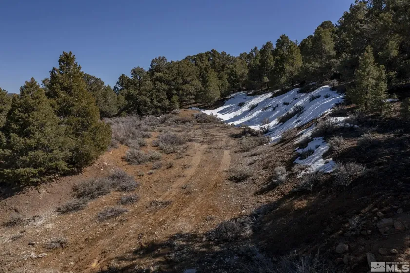 2185 Hermit, Virginia City, Nevada 89521, ,Land,Residential,Hermit,240013442