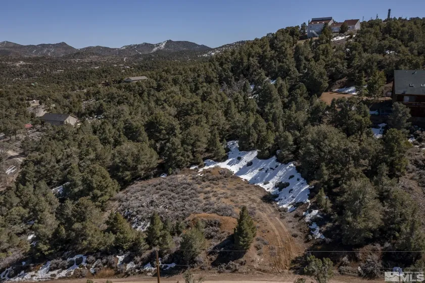 2185 Hermit, Virginia City, Nevada 89521, ,Land,Residential,Hermit,240013442