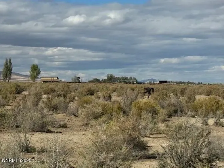 1600 Kyle Hot Springs, Imlay, Nevada 89418, 3 Bedrooms Bedrooms, ,2 BathroomsBathrooms,Residential,Residential,Kyle Hot Springs,250057347