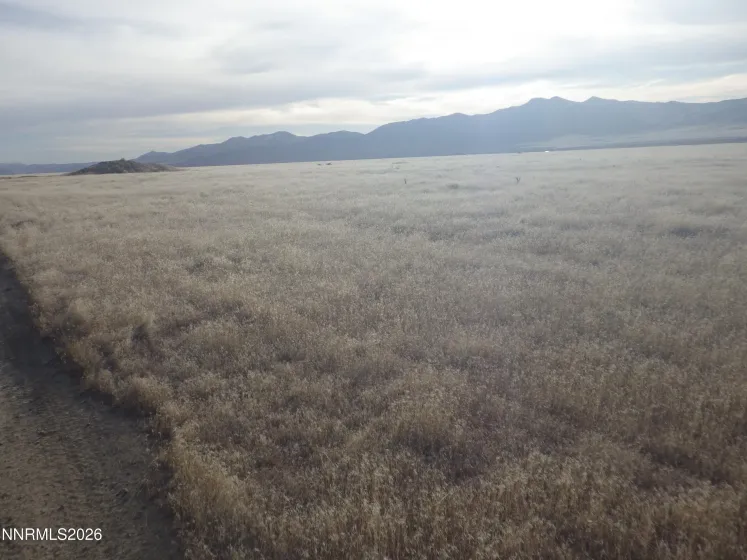 0 Logan Road, Winnemucca, Nevada 89445, ,Land,Residential,Logan Road,250057351