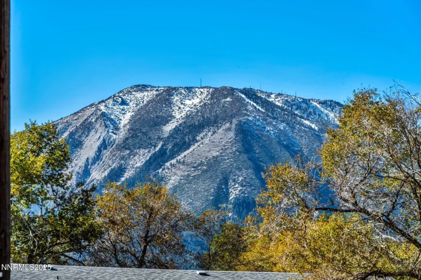 3612 White Pine, Washoe Valley, Nevada 89704, 2 Bedrooms Bedrooms, ,2 BathroomsBathrooms,Residential,Residential,White Pine,250057357