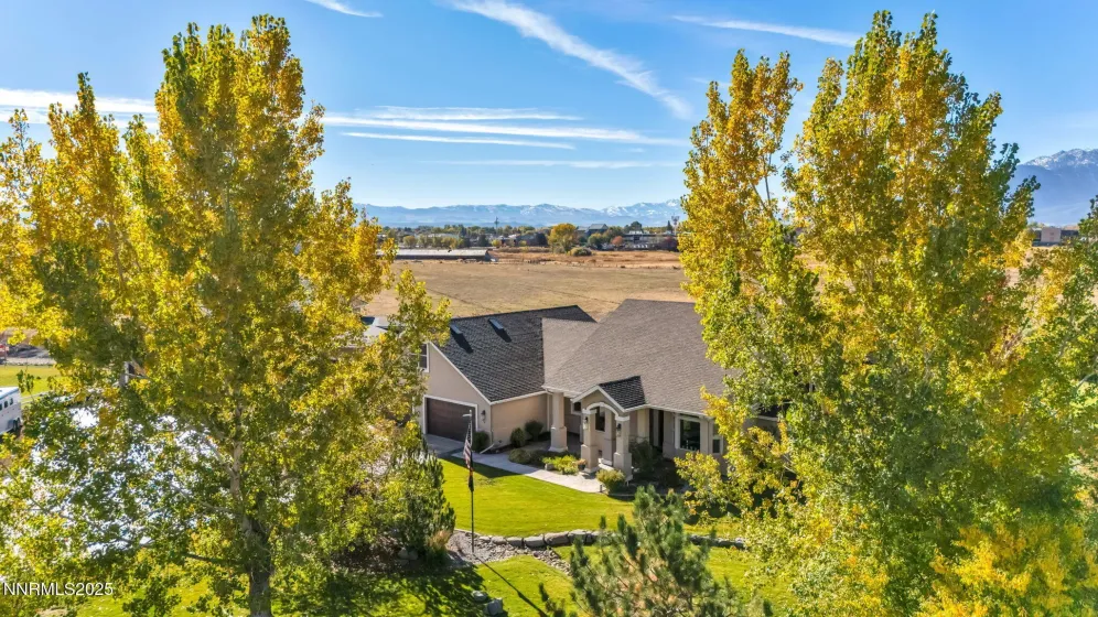 1058 Frieda, Minden, Nevada 89423, 5 Bedrooms Bedrooms, ,7 BathroomsBathrooms,Residential,Residential,Frieda,250057364