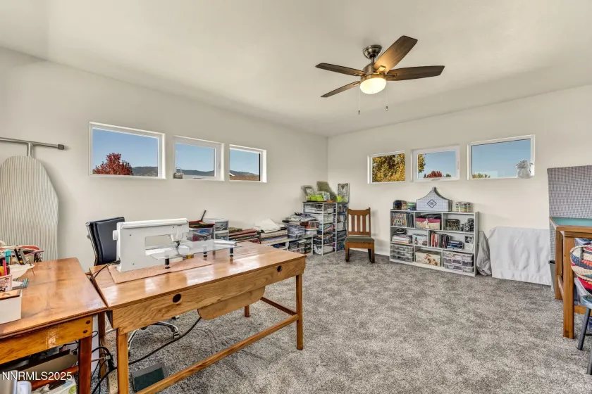 1058 Frieda, Minden, Nevada 89423, 5 Bedrooms Bedrooms, ,7 BathroomsBathrooms,Residential,Residential,Frieda,250057364