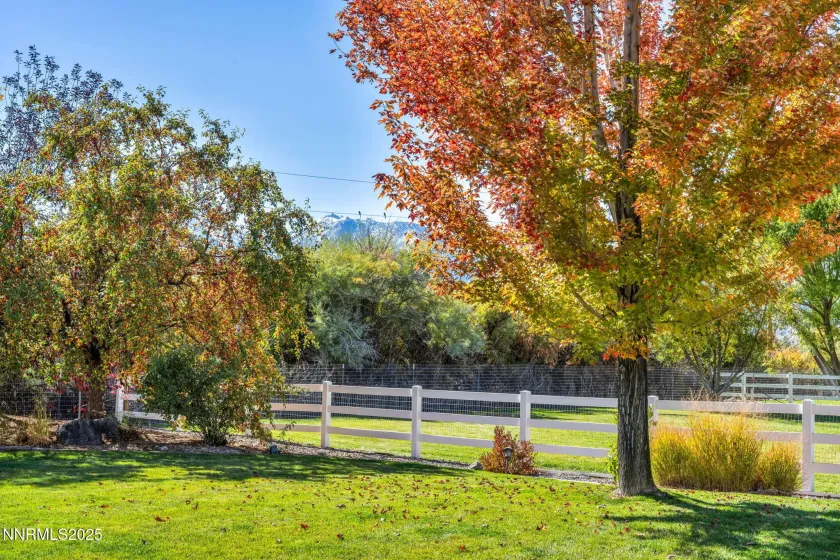 1058 Frieda, Minden, Nevada 89423, 5 Bedrooms Bedrooms, ,7 BathroomsBathrooms,Residential,Residential,Frieda,250057364