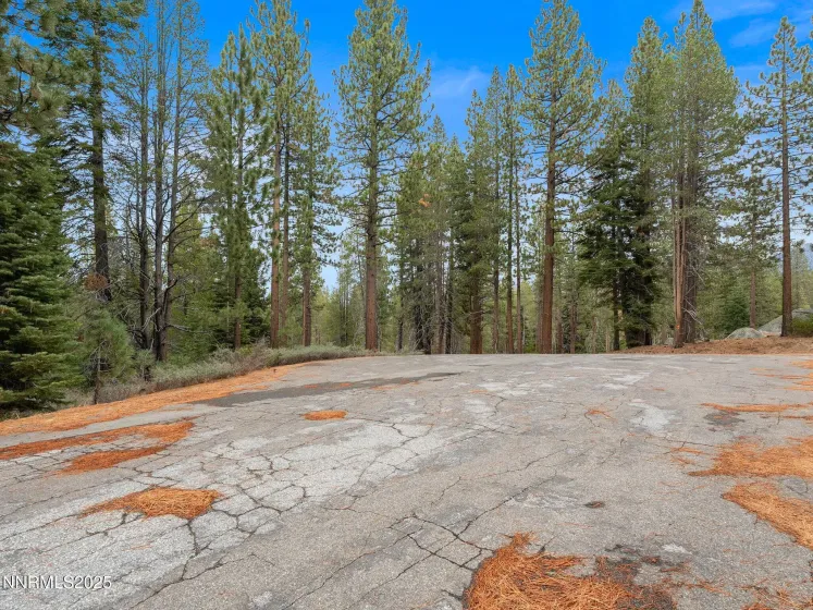 1670 Canienaga, South Lake Tahoe, California 96150, 3 Bedrooms Bedrooms, ,2 BathroomsBathrooms,Residential,Residential,Canienaga,250057436