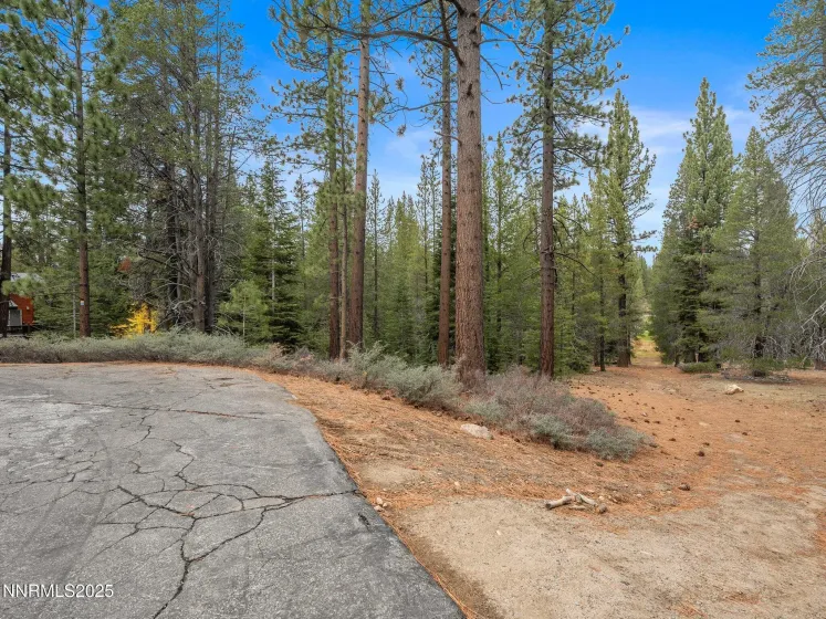 1670 Canienaga, South Lake Tahoe, California 96150, 3 Bedrooms Bedrooms, ,2 BathroomsBathrooms,Residential,Residential,Canienaga,250057436