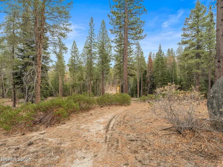 1670 Canienaga, South Lake Tahoe, California 96150, 3 Bedrooms Bedrooms, ,2 BathroomsBathrooms,Residential,Residential,Canienaga,250057436
