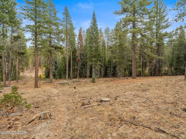 1670 Canienaga, South Lake Tahoe, California 96150, 3 Bedrooms Bedrooms, ,2 BathroomsBathrooms,Residential,Residential,Canienaga,250057436