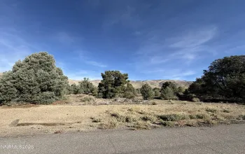 3660 Pinenut, Wellington, Nevada 89444, ,Land,Residential,Pinenut,250057452