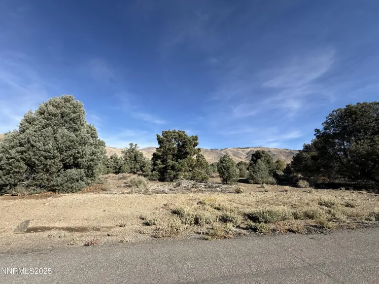 3660 Pinenut, Wellington, Nevada 89444, ,Land,Residential,Pinenut,250057452 3660 Pinenut, Wellington, Nevada 89444, ,Land,Residential,Pinenut,250057452