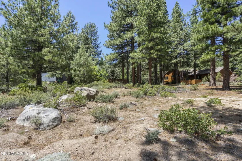 450 Black Pine, Reno, Nevada 89511, ,Land,Residential,Black Pine,250057466 450 Black Pine, Reno, Nevada 89511, ,Land,Residential,Black Pine,250057466
