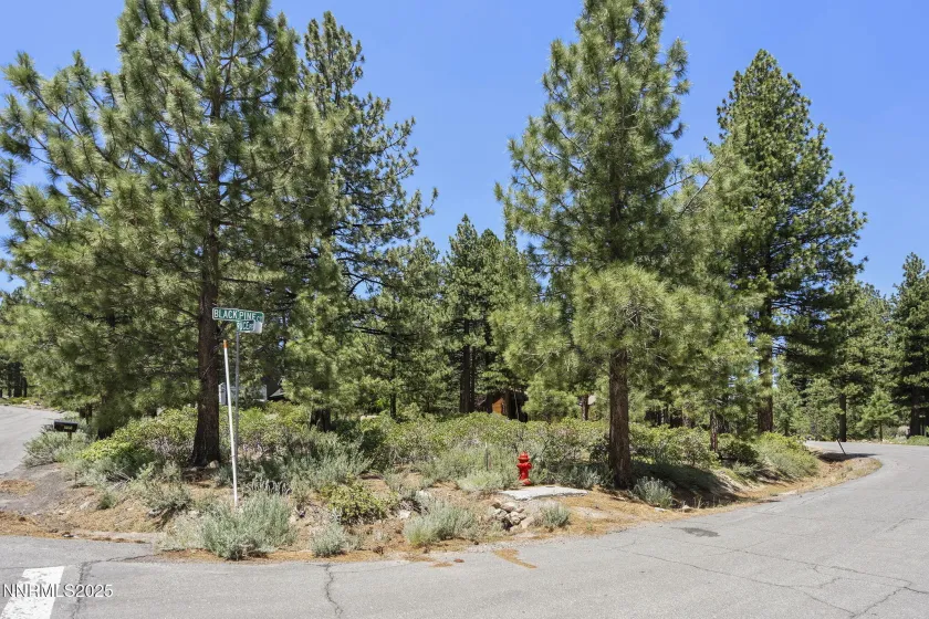 450 Black Pine, Reno, Nevada 89511, ,Land,Residential,Black Pine,250057466 450 Black Pine, Reno, Nevada 89511, ,Land,Residential,Black Pine,250057466