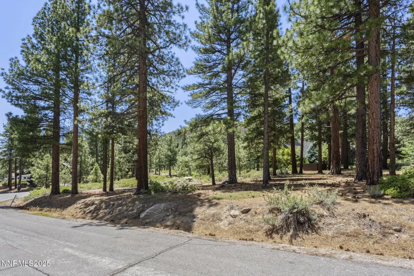 450 Black Pine, Reno, Nevada 89511, ,Land,Residential,Black Pine,250057466 450 Black Pine, Reno, Nevada 89511, ,Land,Residential,Black Pine,250057466
