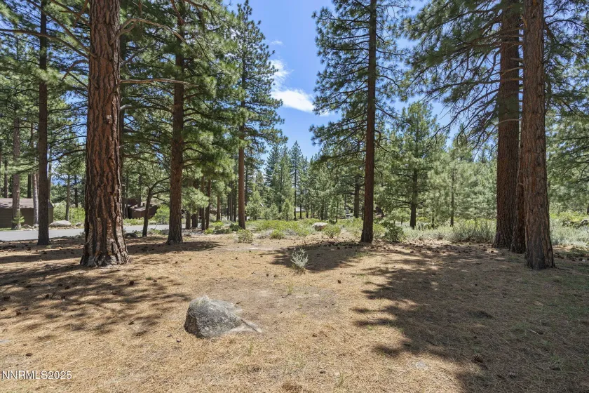 450 Black Pine, Reno, Nevada 89511, ,Land,Residential,Black Pine,250057466 450 Black Pine, Reno, Nevada 89511, ,Land,Residential,Black Pine,250057466
