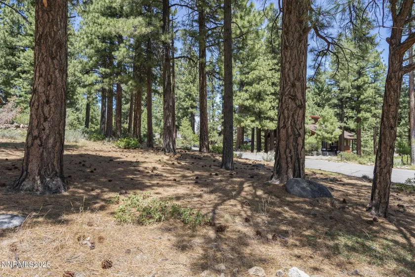 450 Black Pine, Reno, Nevada 89511, ,Land,Residential,Black Pine,250057466 450 Black Pine, Reno, Nevada 89511, ,Land,Residential,Black Pine,250057466