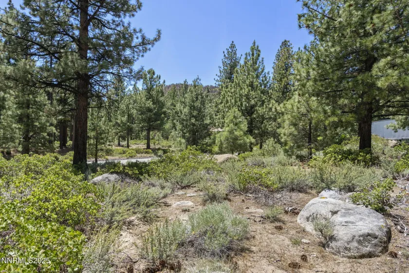 450 Black Pine, Reno, Nevada 89511, ,Land,Residential,Black Pine,250057466 450 Black Pine, Reno, Nevada 89511, ,Land,Residential,Black Pine,250057466