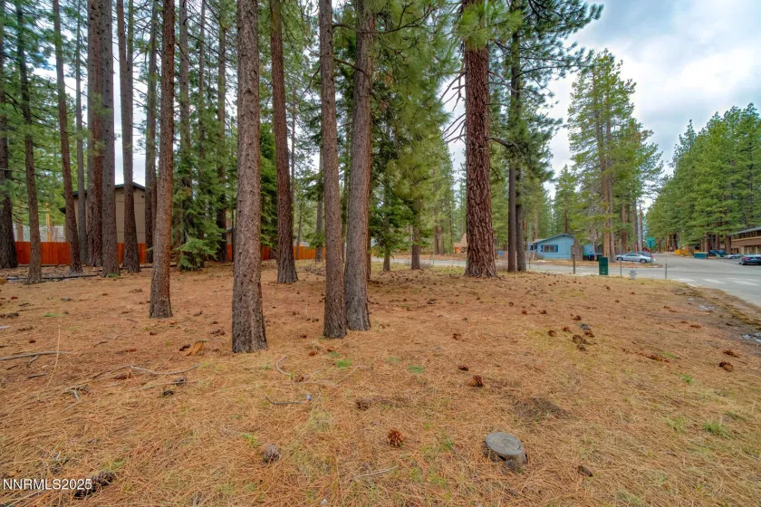 1145 Sierra, South Lake Tahoe, California 96150, ,Land,Residential,Sierra,250057473 1145 Sierra, South Lake Tahoe, California 96150, ,Land,Residential,Sierra,250057473