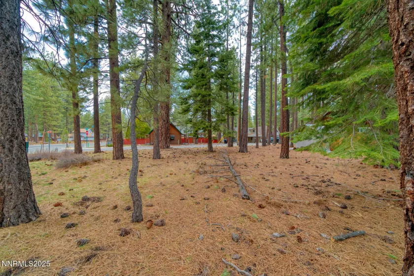 1145 Sierra, South Lake Tahoe, California 96150, ,Land,Residential,Sierra,250057473 1145 Sierra, South Lake Tahoe, California 96150, ,Land,Residential,Sierra,250057473