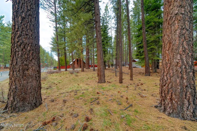 1145 Sierra, South Lake Tahoe, California 96150, ,Land,Residential,Sierra,250057473 1145 Sierra, South Lake Tahoe, California 96150, ,Land,Residential,Sierra,250057473