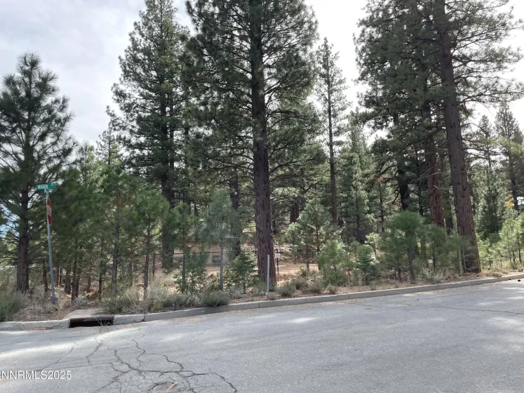 4995 Nadia, Reno, Nevada 89511, ,Land,Residential,Nadia,250057510 4995 Nadia, Reno, Nevada 89511, ,Land,Residential,Nadia,250057510