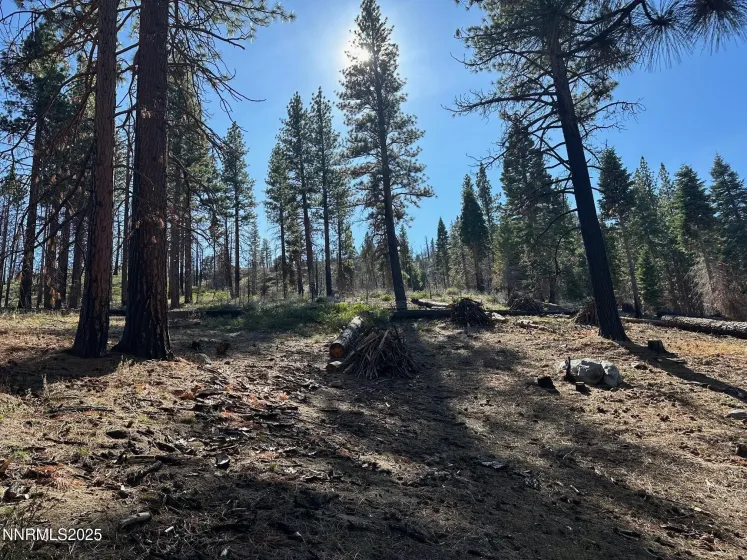 201 Shay Creek, Markleeville, California 96120, 2 Bedrooms Bedrooms, ,1 BathroomBathrooms,Residential,Residential,Shay Creek,250057525 201 Shay Creek, Markleeville, California 96120, 2 Bedrooms Bedrooms, ,1 BathroomBathrooms,Residential,Residential,Shay Creek,250057525