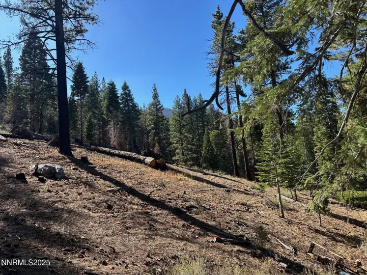 201 Shay Creek, Markleeville, California 96120, 2 Bedrooms Bedrooms, ,1 BathroomBathrooms,Residential,Residential,Shay Creek,250057525 201 Shay Creek, Markleeville, California 96120, 2 Bedrooms Bedrooms, ,1 BathroomBathrooms,Residential,Residential,Shay Creek,250057525