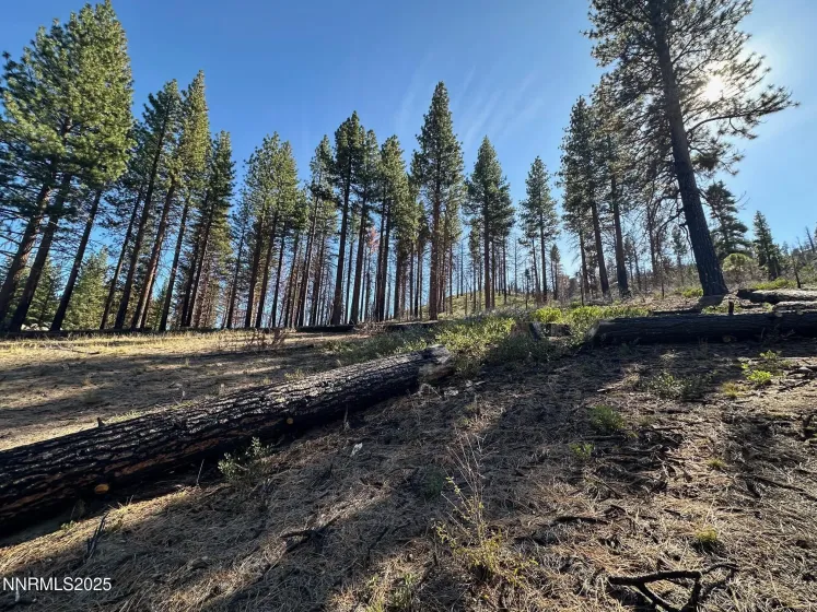 201 Shay Creek, Markleeville, California 96120, 2 Bedrooms Bedrooms, ,1 BathroomBathrooms,Residential,Residential,Shay Creek,250057525 201 Shay Creek, Markleeville, California 96120, 2 Bedrooms Bedrooms, ,1 BathroomBathrooms,Residential,Residential,Shay Creek,250057525