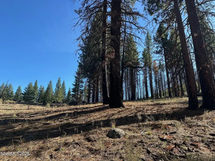 201 Shay Creek, Markleeville, California 96120, 2 Bedrooms Bedrooms, ,1 BathroomBathrooms,Residential,Residential,Shay Creek,250057525 201 Shay Creek, Markleeville, California 96120, 2 Bedrooms Bedrooms, ,1 BathroomBathrooms,Residential,Residential,Shay Creek,250057525