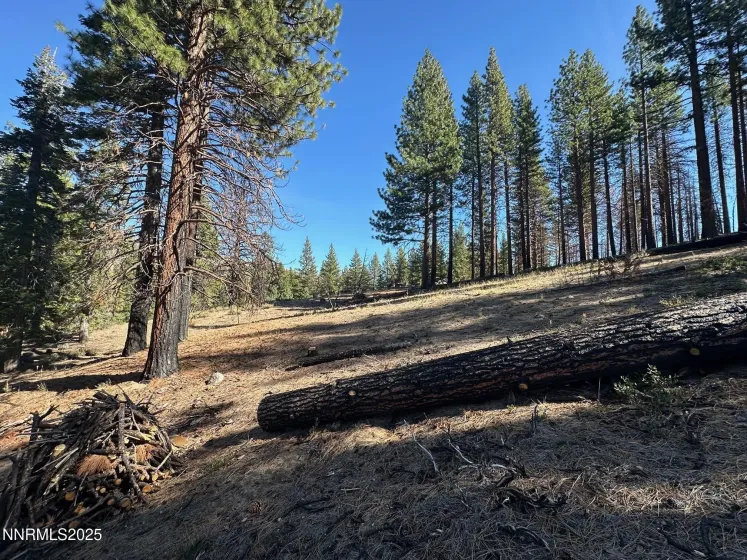 201 Shay Creek, Markleeville, California 96120, 2 Bedrooms Bedrooms, ,1 BathroomBathrooms,Residential,Residential,Shay Creek,250057525 201 Shay Creek, Markleeville, California 96120, 2 Bedrooms Bedrooms, ,1 BathroomBathrooms,Residential,Residential,Shay Creek,250057525
