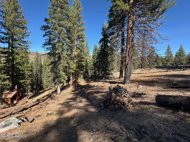 201 Shay Creek, Markleeville, California 96120, 2 Bedrooms Bedrooms, ,1 BathroomBathrooms,Residential,Residential,Shay Creek,250057525 201 Shay Creek, Markleeville, California 96120, 2 Bedrooms Bedrooms, ,1 BathroomBathrooms,Residential,Residential,Shay Creek,250057525