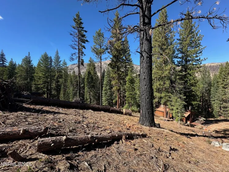 201 Shay Creek, Markleeville, California 96120, 2 Bedrooms Bedrooms, ,1 BathroomBathrooms,Residential,Residential,Shay Creek,250057525 201 Shay Creek, Markleeville, California 96120, 2 Bedrooms Bedrooms, ,1 BathroomBathrooms,Residential,Residential,Shay Creek,250057525