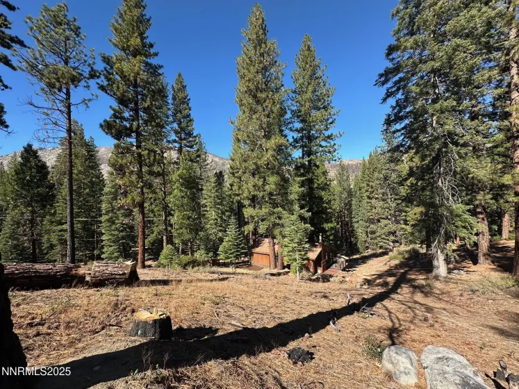 201 Shay Creek, Markleeville, California 96120, 2 Bedrooms Bedrooms, ,1 BathroomBathrooms,Residential,Residential,Shay Creek,250057525 201 Shay Creek, Markleeville, California 96120, 2 Bedrooms Bedrooms, ,1 BathroomBathrooms,Residential,Residential,Shay Creek,250057525