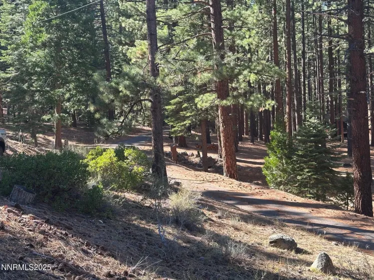 201 Shay Creek, Markleeville, California 96120, 2 Bedrooms Bedrooms, ,1 BathroomBathrooms,Residential,Residential,Shay Creek,250057525 201 Shay Creek, Markleeville, California 96120, 2 Bedrooms Bedrooms, ,1 BathroomBathrooms,Residential,Residential,Shay Creek,250057525