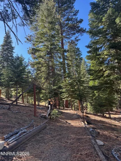 201 Shay Creek, Markleeville, California 96120, 2 Bedrooms Bedrooms, ,1 BathroomBathrooms,Residential,Residential,Shay Creek,250057525 201 Shay Creek, Markleeville, California 96120, 2 Bedrooms Bedrooms, ,1 BathroomBathrooms,Residential,Residential,Shay Creek,250057525