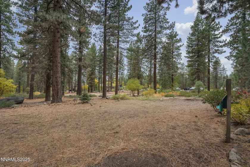 989 Tahoe, Incline Village, Nevada 89451, 3 Bedrooms Bedrooms, ,2 BathroomsBathrooms,Residential,Residential,Tahoe,250057545