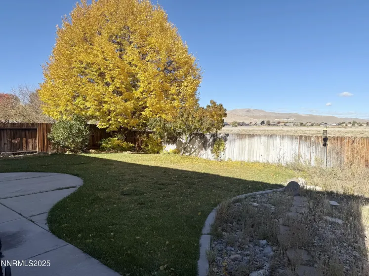 1208 Bodega, Sparks, Nevada 89436, 4 Bedrooms Bedrooms, ,3 BathroomsBathrooms,Residential,Residential,Bodega,250057568