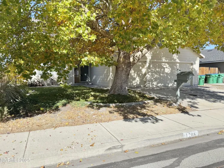 1208 Bodega, Sparks, Nevada 89436, 4 Bedrooms Bedrooms, ,3 BathroomsBathrooms,Residential,Residential,Bodega,250057568