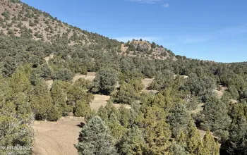 2120 Scorpion, Reno, Nevada 89521, ,Land,Residential,Scorpion,250057577