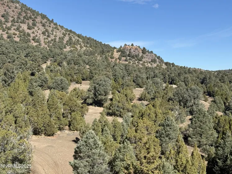 2120 Scorpion, Reno, Nevada 89521, ,Land,Residential,Scorpion,250057577 2120 Scorpion, Reno, Nevada 89521, ,Land,Residential,Scorpion,250057577