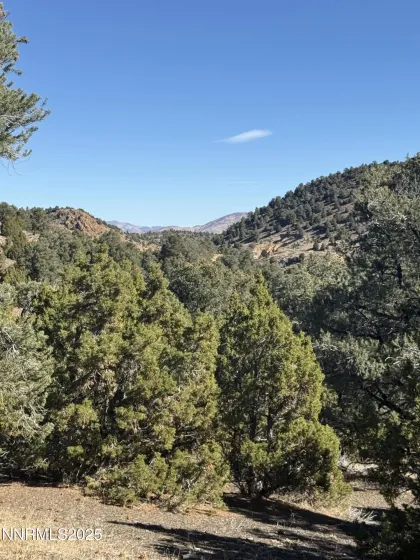 2120 Scorpion, Reno, Nevada 89521, ,Land,Residential,Scorpion,250057577 2120 Scorpion, Reno, Nevada 89521, ,Land,Residential,Scorpion,250057577