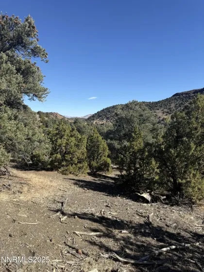 2120 Scorpion, Reno, Nevada 89521, ,Land,Residential,Scorpion,250057577 2120 Scorpion, Reno, Nevada 89521, ,Land,Residential,Scorpion,250057577